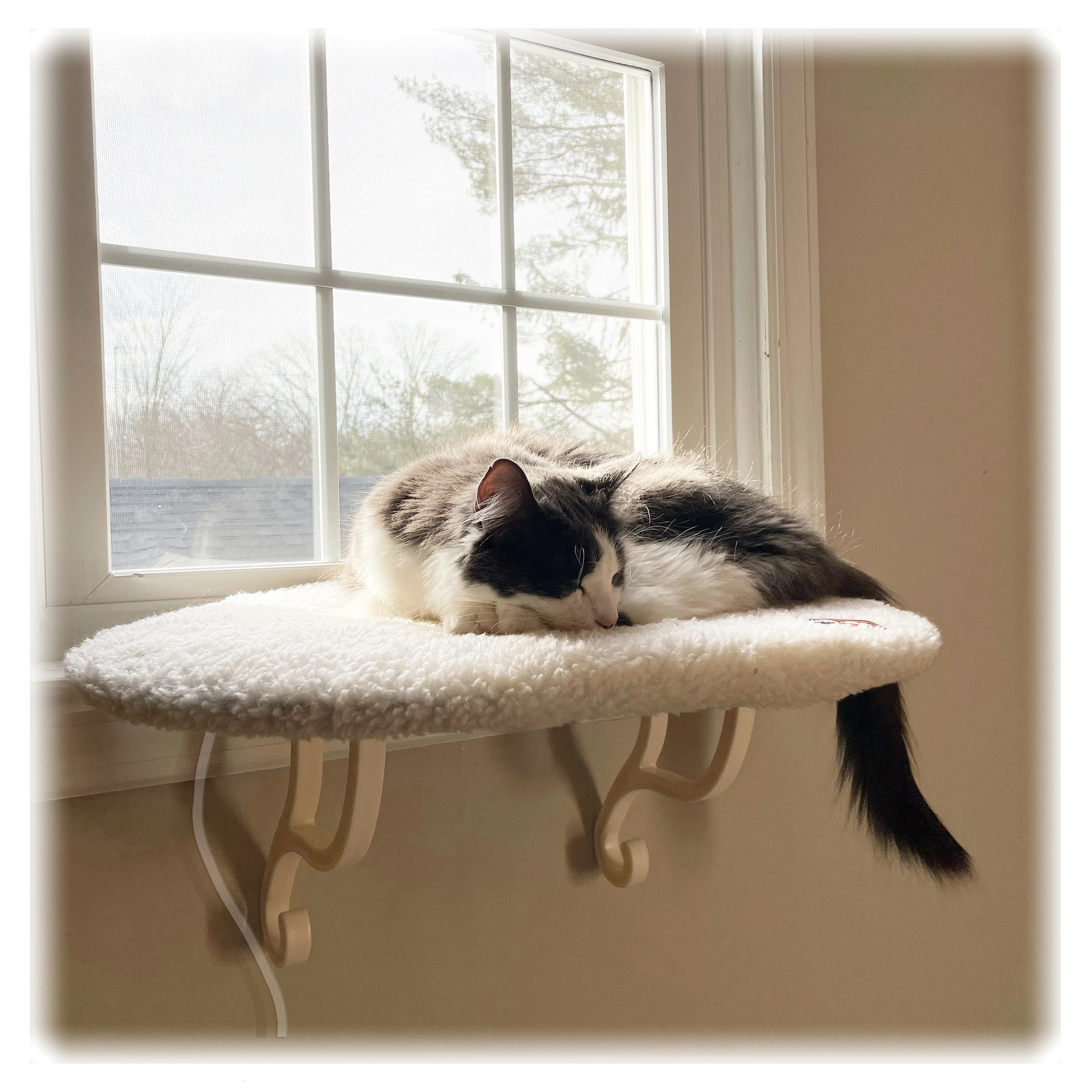 K&H Kitty Sill & Thermo-Kitty Sill - Image 9