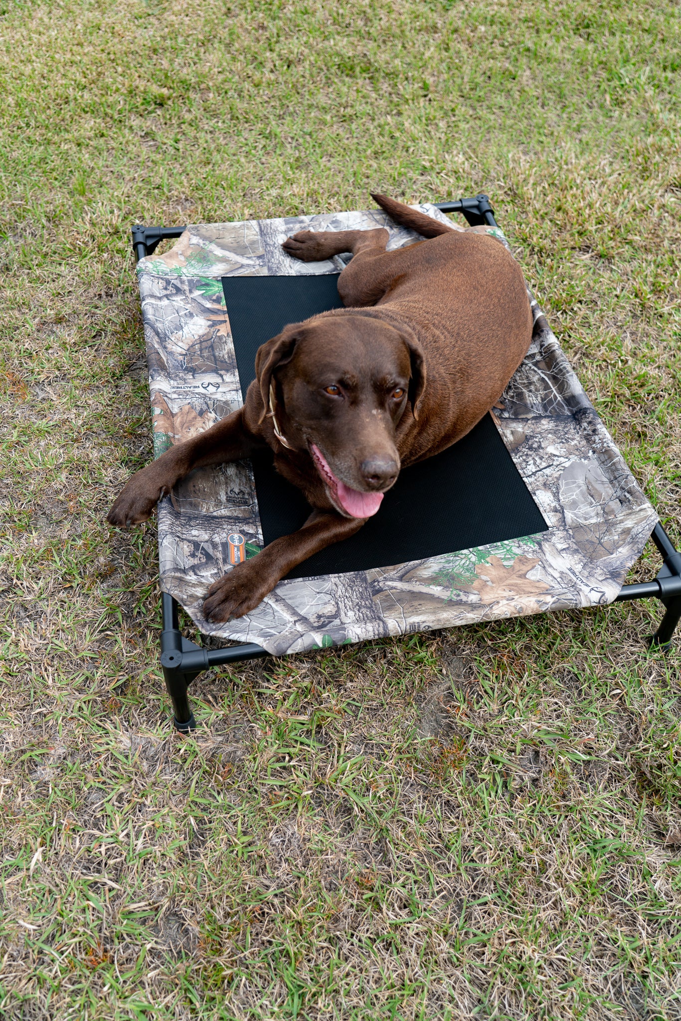 K&H Original Pet Cot - Image 12