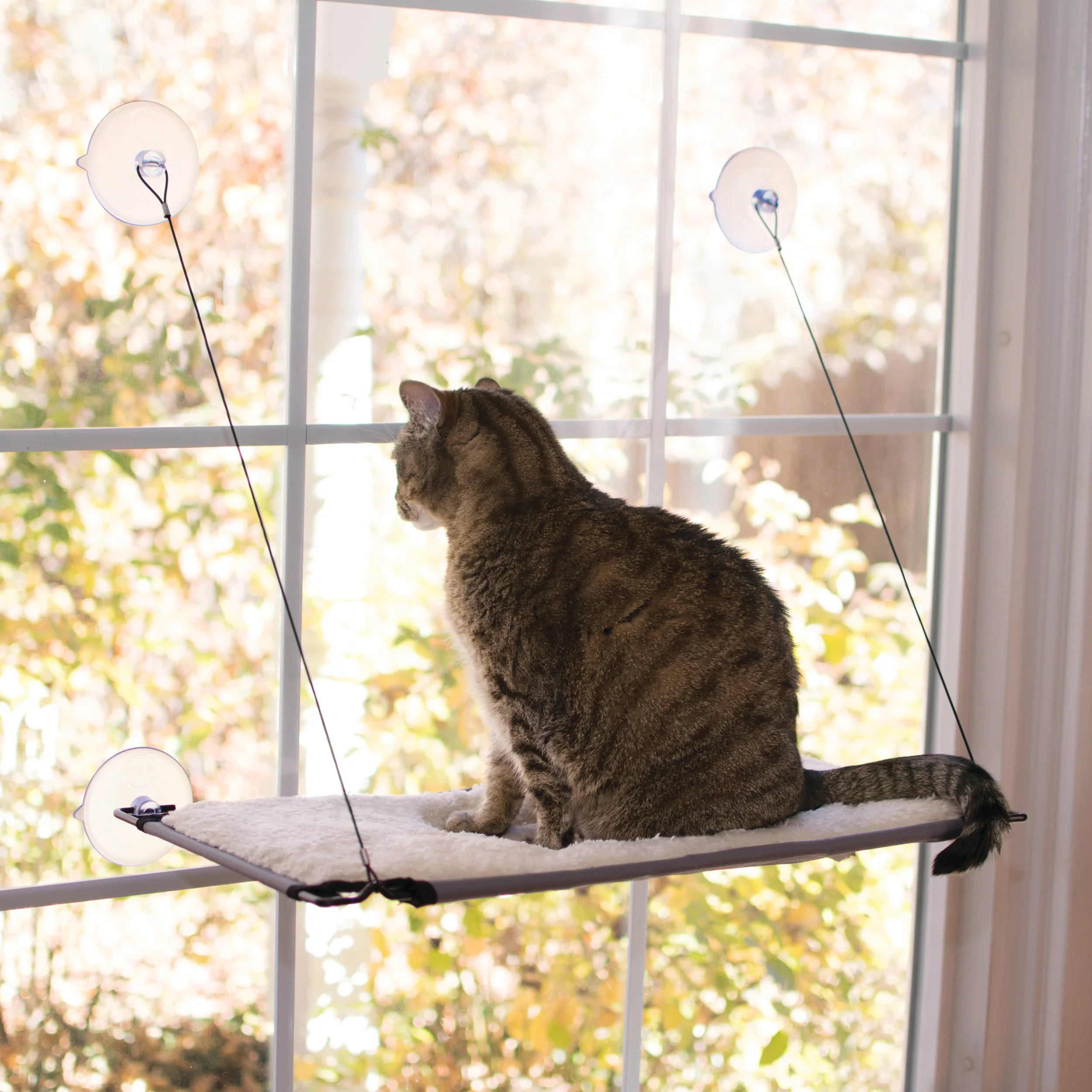 Cat Top Sellers
